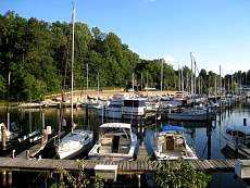 Maryland 0110.jpg